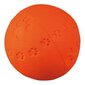 Kummi pall Trixie, 6 cm hind ja info | Mänguasjad koertele | kaup24.ee