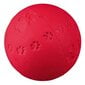 Kummi pall Trixie, 9.5 cm hind ja info | Mänguasjad koertele | kaup24.ee