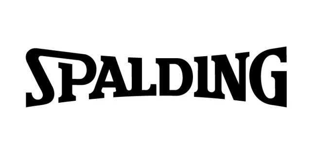 Результат изображения для лого spalding