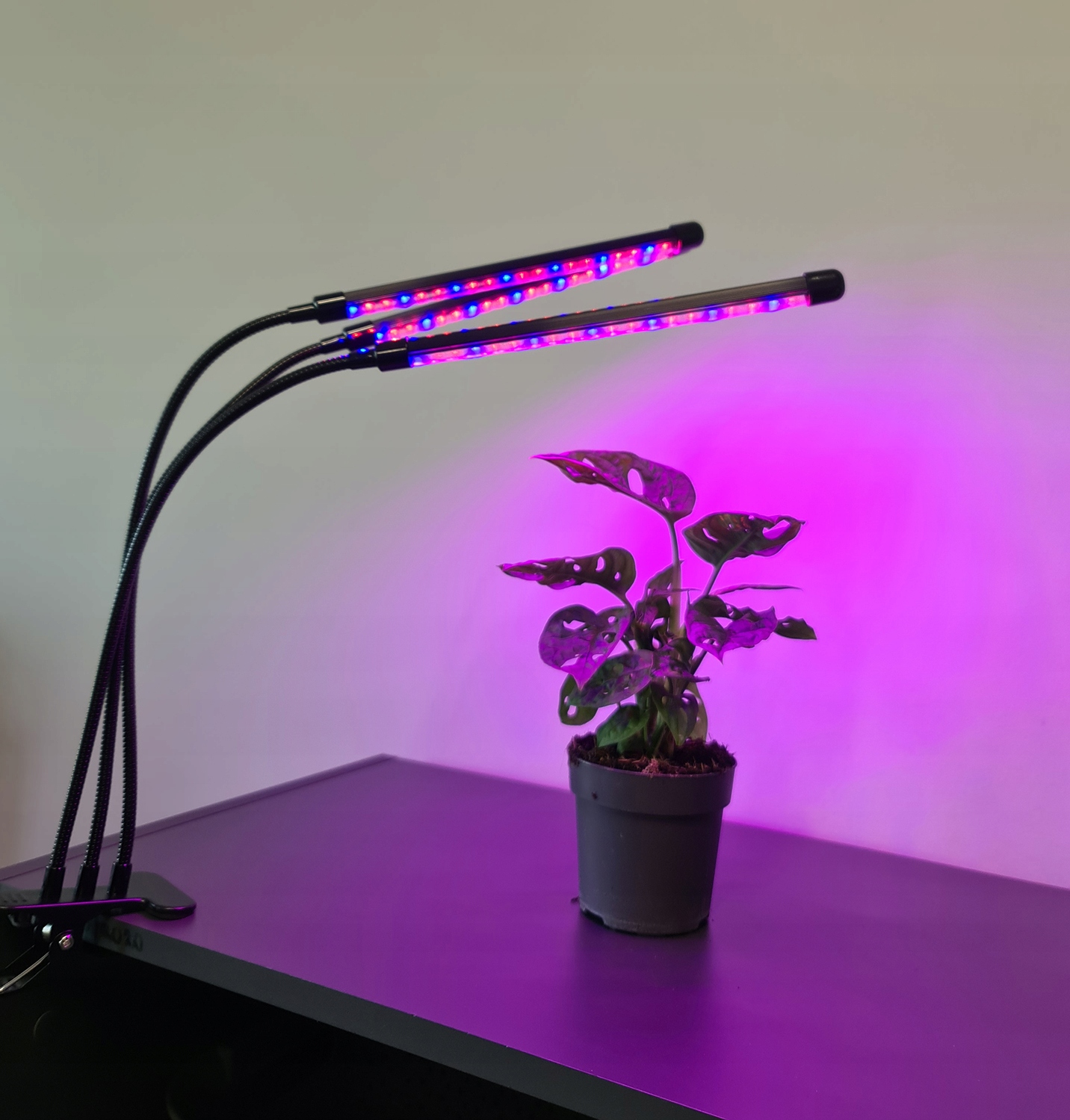 3 x Plant Grow Lamp 60 LED Taimer + kaugjuhtimispult Muu mark