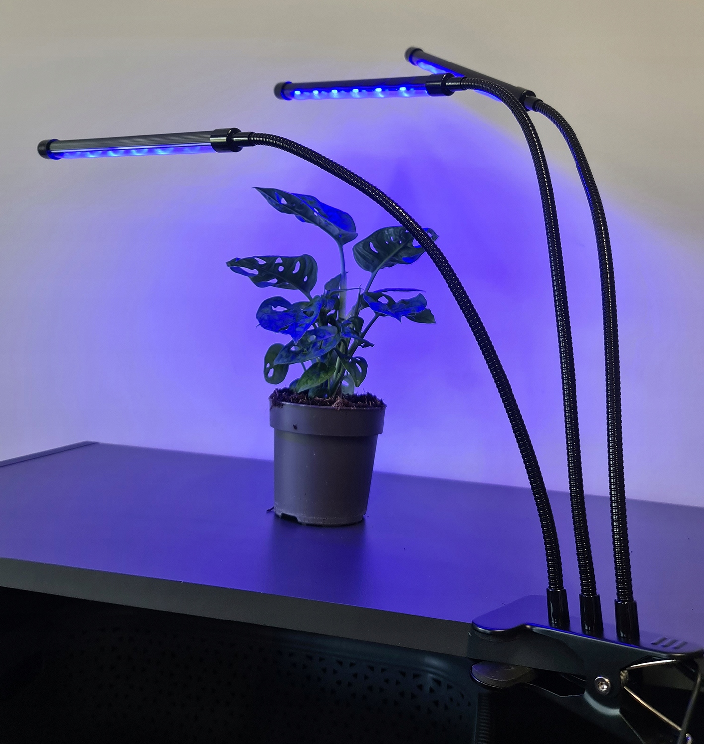 3 x Plant Grow Lamp 60 LED Taimer + Kaugjuhtimispult Pikkus 68 cm