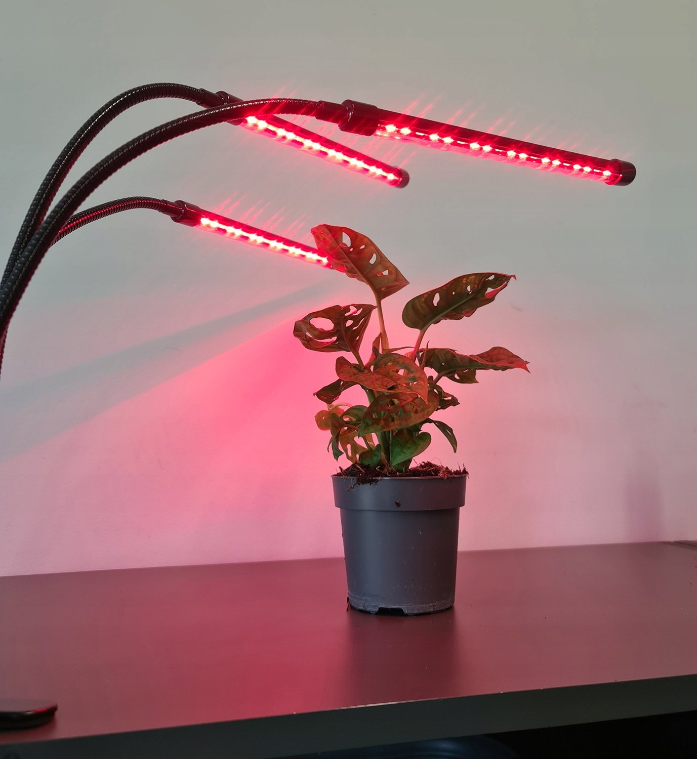 3 x Plant Grow Lamp 60 LED Taimer + kaugjuhtimispult Max võimsus 30W