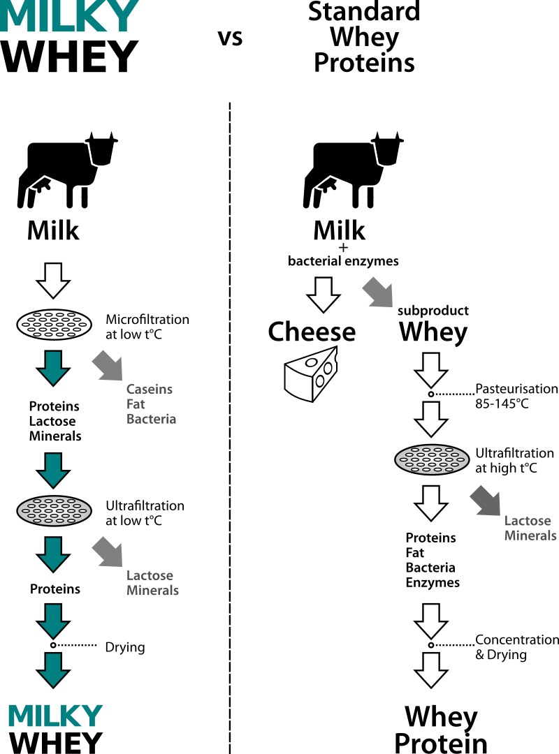 Milky-Whey vs Whey