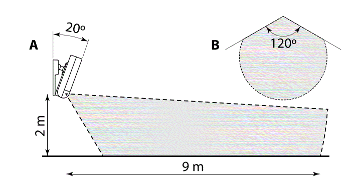 shelly motion 2