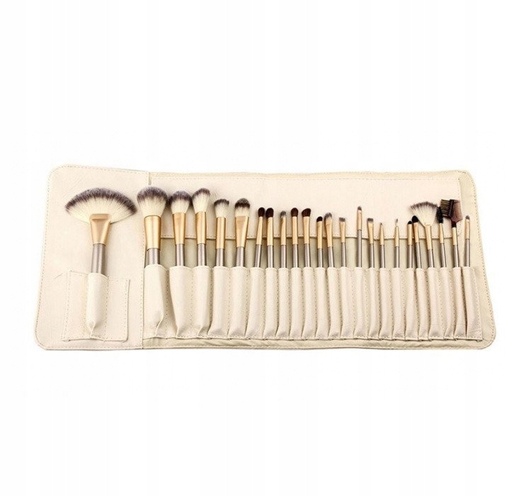 HARJAKOMPLEKT 24 tk.  PROFESSIONAL pintslid koos CASE-ga (