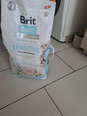 Brit Care беззерновой гипоаллергенный корм для кошек с насекомыми и селедкой 7 кг цена