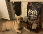 Brit Premium by Nature Senior L+XL полноценный корм для собак 15кг