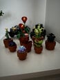 10329 LEGO® Icons Миниатюрные растения