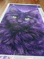 Teemanditikand Must Kass, 30x50 cm Internetist