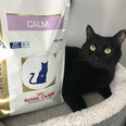 Royal Canin для кошек, чувствительных к стрессу Cat calm feline, 2 кг