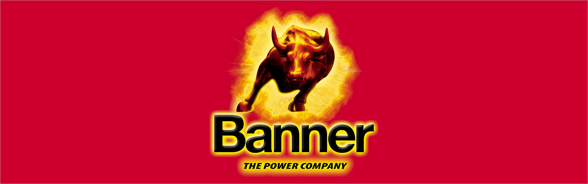 Aku Banner Power Bull P4524 Banner