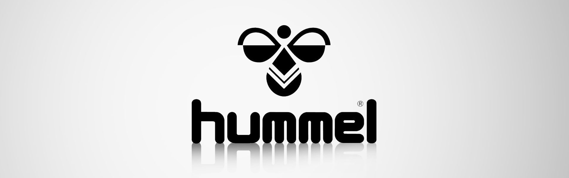 Püksid HUMMEL Aston Hummel