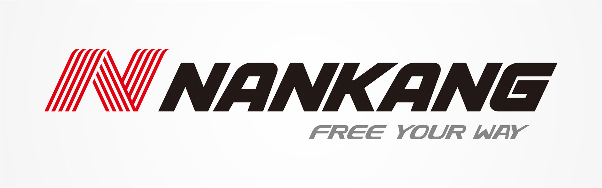 Nankang ICE-1 215/50R17 95 Q Nankang