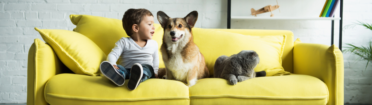Lihtsasti puhastatav gobeläänist mööbel – laste- ja loomasõbralik valik